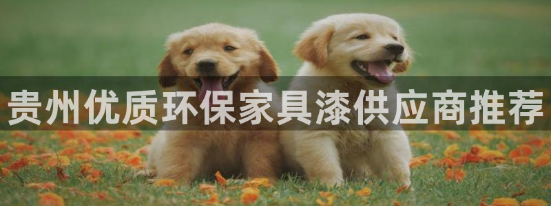 杏耀平台指定