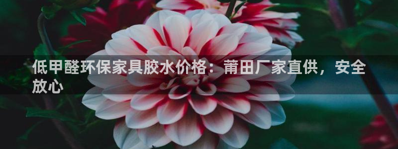 杏耀注册登录