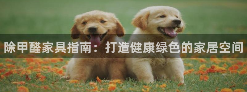 杏耀app怎样申请