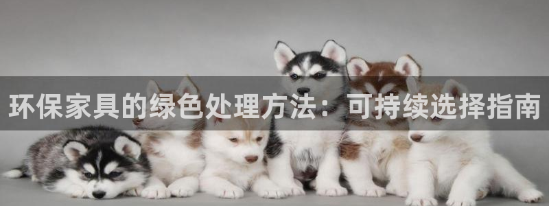 杏耀官网主管