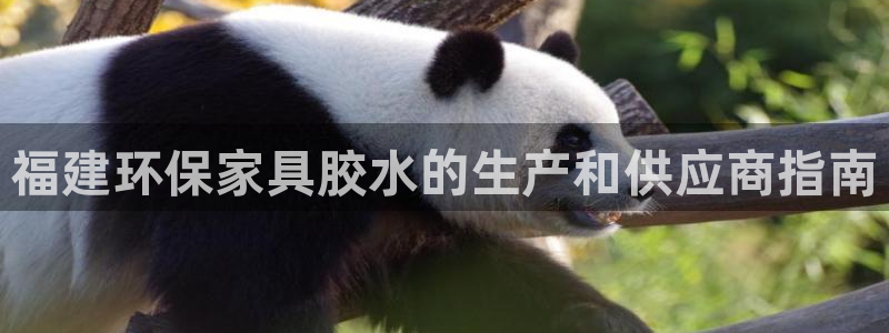 杏耀主管qq