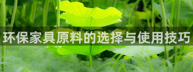 杏耀平台指定