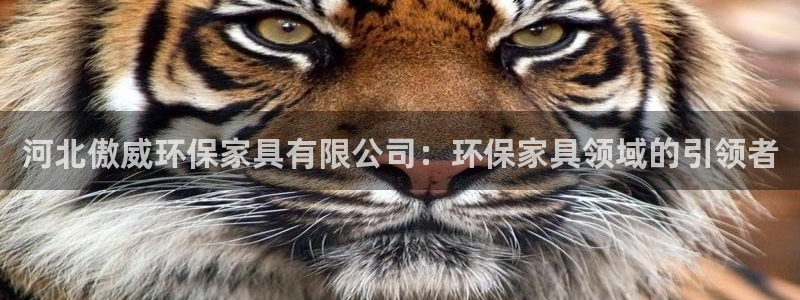 杏耀代理登录中心怎么进：河北傲威环保家具有限公司：环保家具领