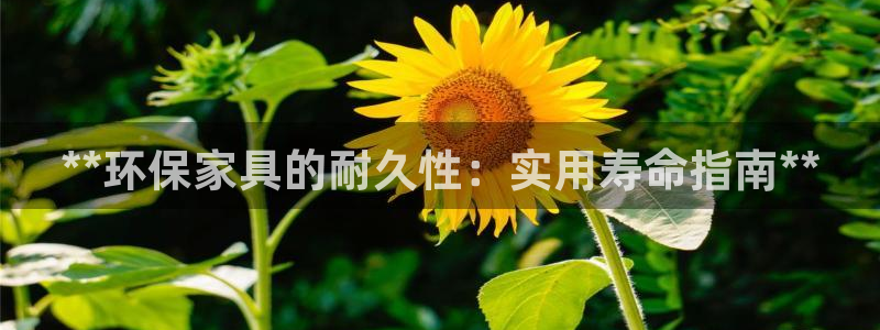 杏耀平台下载