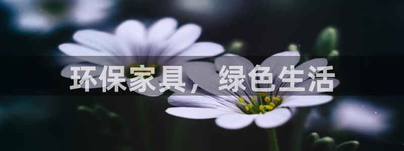 杏耀网页手机登录：环保家具，绿色生活