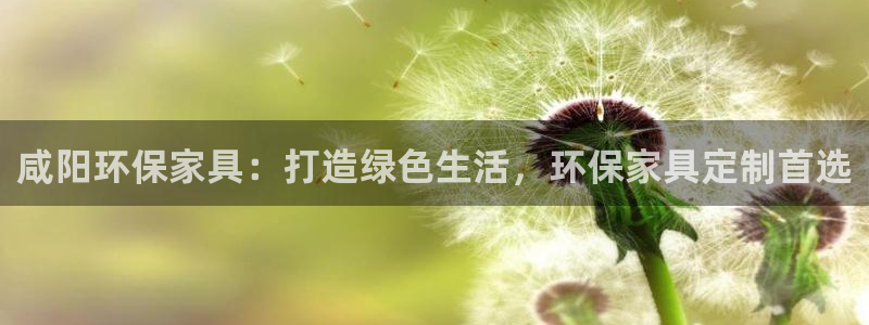 杏耀平台代理注册：咸阳环保家具：打造绿色生活，环保家具定制首