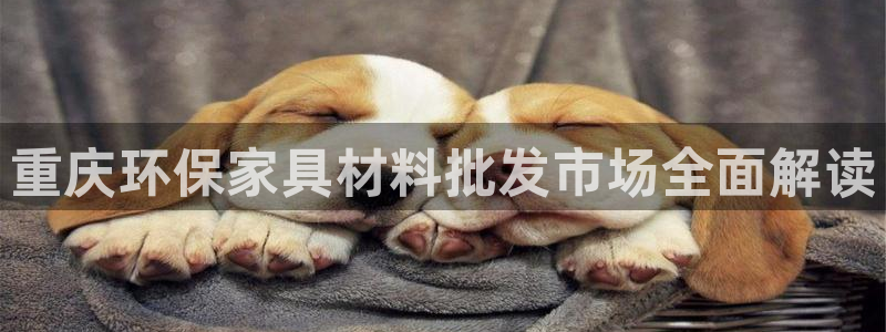 杏耀是什么平台