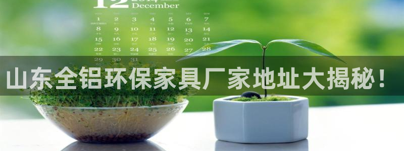 杏耀注册登录代理：山东全铝环保家具厂家地址大揭秘！