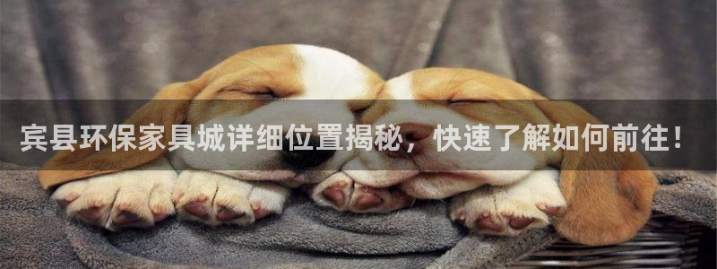 杏耀平台待遇