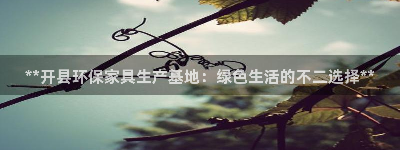 杏耀平台登录网站
