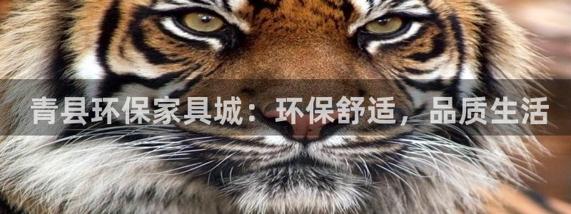 杏耀平台手机： 青县环保家具城：环保舒适，品质生活