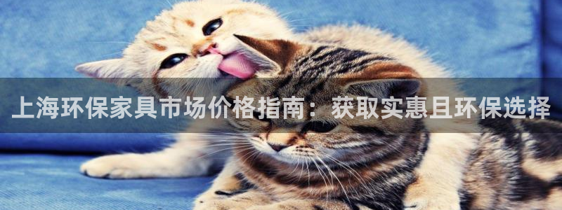 杏耀平台服务中心怎么样：上海环保家具市场价格指南：获取实惠且
