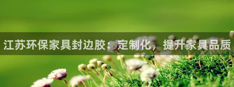 杏耀登入测速：江苏环保家具封边胶：定制化，提升家具品质