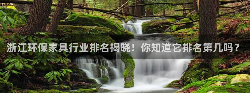 杏耀平台注册网址：浙江环保家具行业排名揭晓！你知道它排名第几