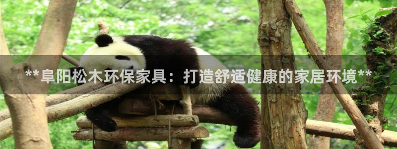 杏耀线路测速登录中心