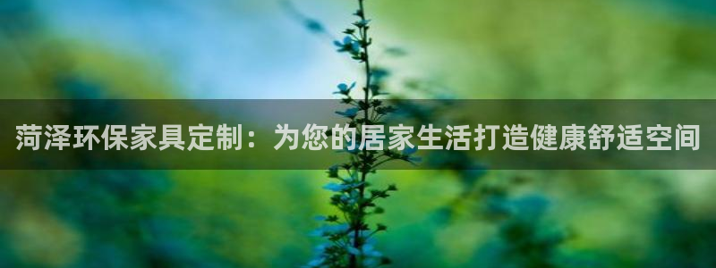 杏耀平台注册代理：菏泽环保家具定制：为您的居家生活打造健康舒