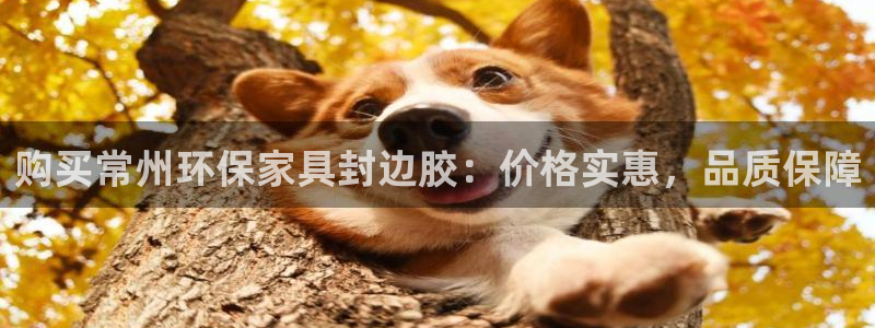 杏耀注册代理：购买常州环保家具封边胶：价格实惠，品质保障
