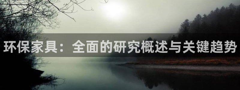 杏耀平台代理怎么赚钱的：环保家具：全面的研究概述与关键趋势