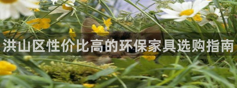 杏耀平台代理登录网址：洪山区性价比高的环保家具选购指南