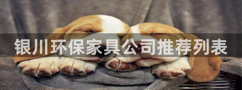杏耀平台网页版：银川环保家具公司推荐列表