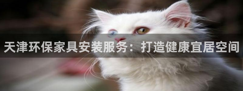 杏耀注册登录测速：天津环保家具安装服务：打造健康宜居空间