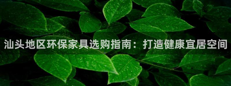杏耀登陆网站
