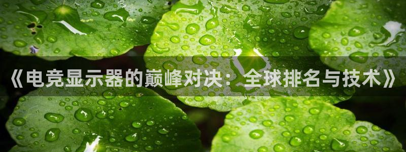 乐鱼电竞app：《电竞显示器的巅峰对决：全球排名与技术》