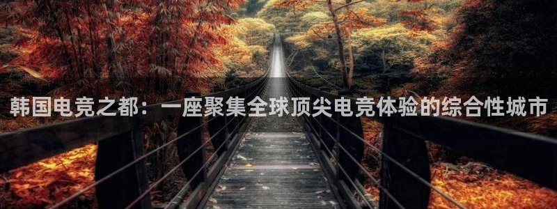 乐鱼电竞官网：韩国电竞之都：一座聚集全球顶尖电竞体验的综合性城市