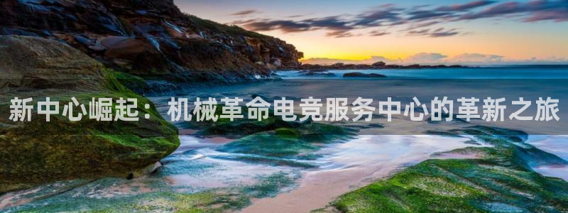乐鱼电竞：新中心崛起：机械革命电竞服务中心的革新之旅