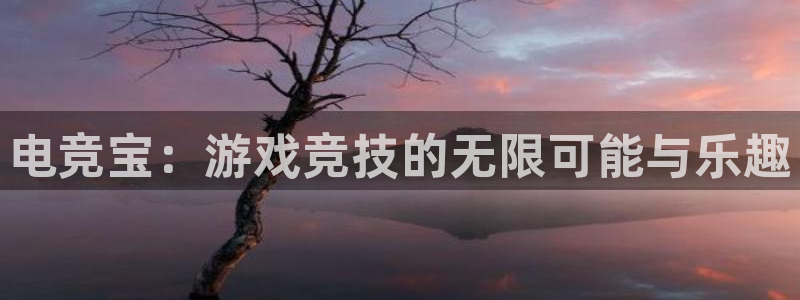 乐鱼电竞app下载：电竞宝：游戏竞技的无限可能与乐趣
