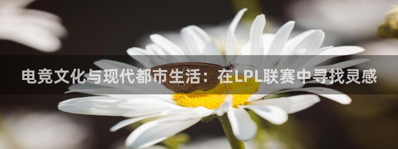 乐鱼电竞下载：电竞文化与现代都市生活：在LPL联赛中寻找灵感