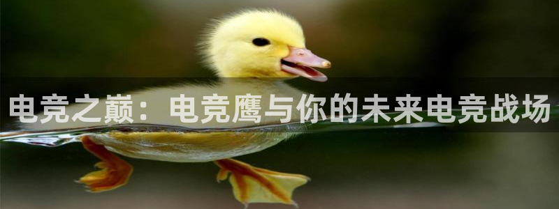 乐鱼电竞英雄联盟app官方：电竞之巅：电竞鹰与你的未来电竞战场