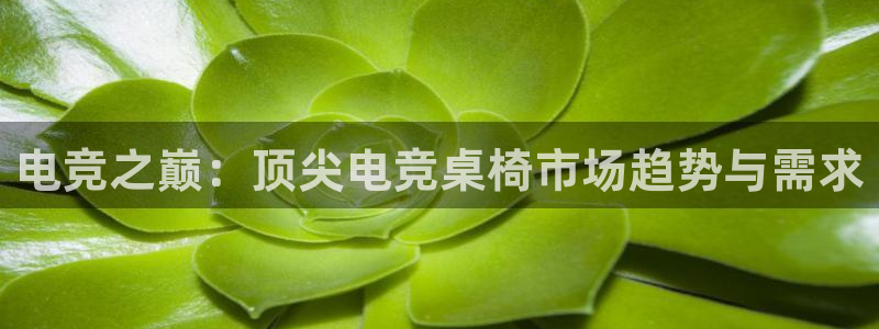 乐鱼电竞app下载：电竞之巅：顶尖电竞桌椅市场趋势与需求