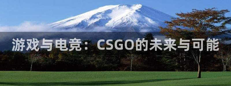 乐鱼电竞网站：游戏与电竞：CSGO的未来与可能