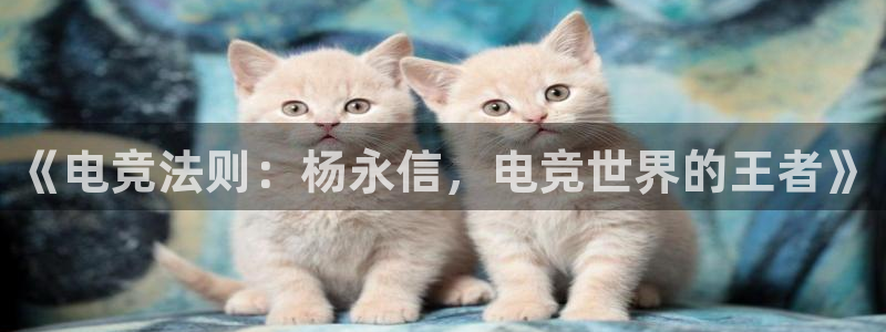 乐鱼电竞app：《电竞法则：杨永信，电竞世界的王者》