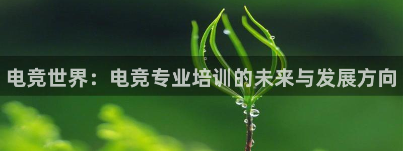 乐鱼电竞官网：电竞世界：电竞专业培训的未来与发展方向