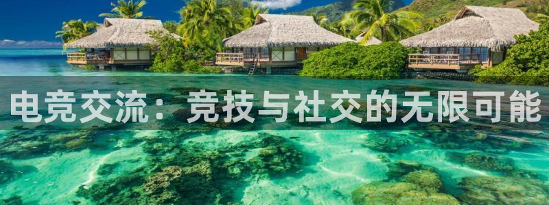 乐鱼电竞：电竞交流：竞技与社交的无限可能