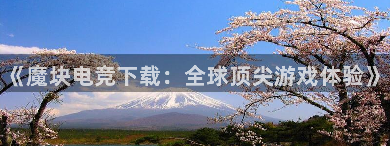 乐鱼电竞网站：《魔块电竞下载：全球顶尖游戏体验》