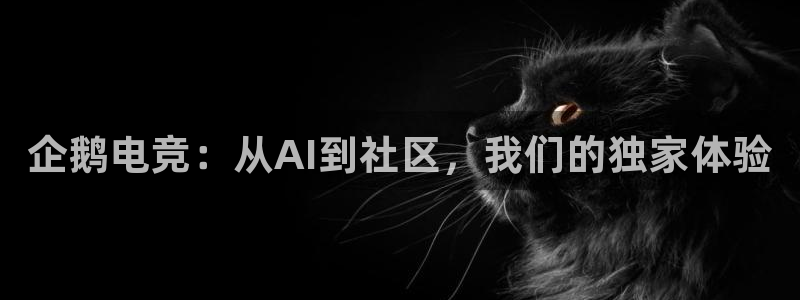 乐鱼电竞：企鹅电竞：从AI到社区，我们的独家体验