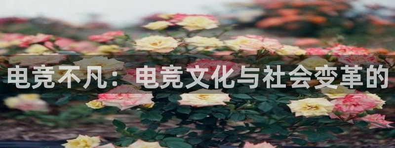 乐鱼电竞官网：电竞不凡：电竞文化与社会变革的