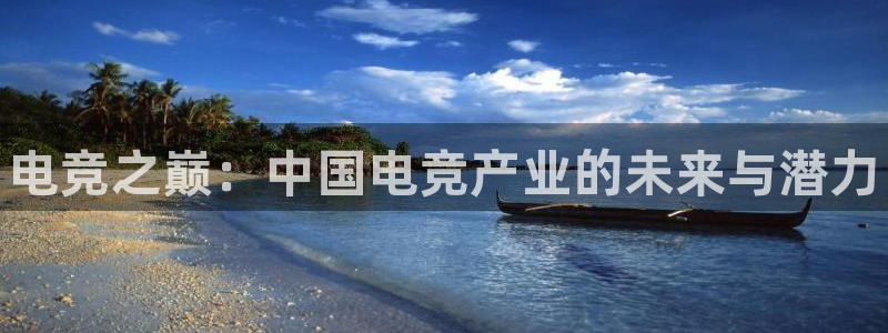 乐鱼电竞网站：电竞之巅：中国电竞产业的未来与潜力