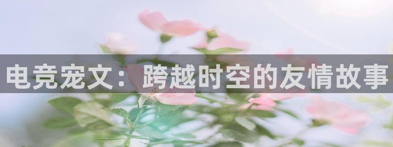 乐鱼电竞英雄联盟app官方：电竞宠文：跨越时空的友情故事