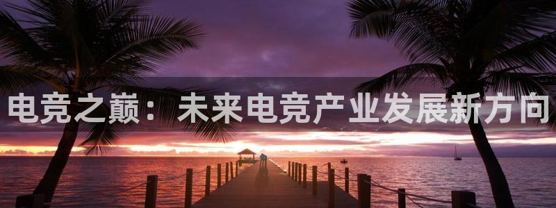 乐鱼电竞app：电竞之巅：未来电竞产业发展新方向