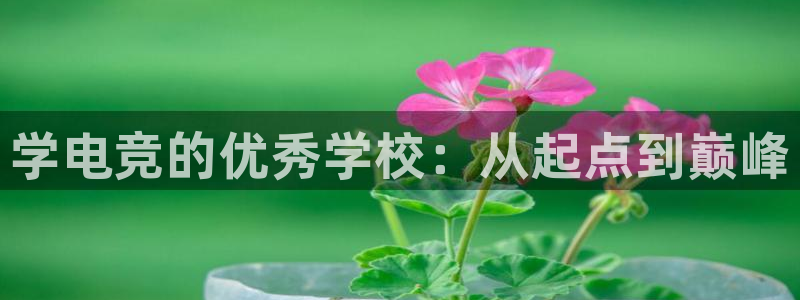 乐鱼电竞英雄联盟app官方：学电竞的优秀学校：从起点到巅峰