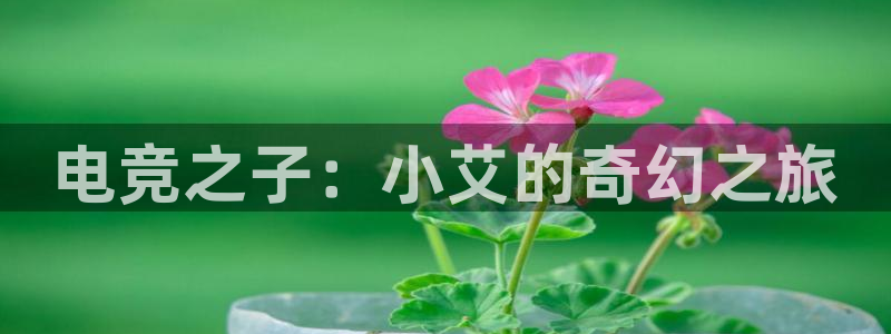乐鱼电竞网站：电竞之子：小艾的奇幻之旅