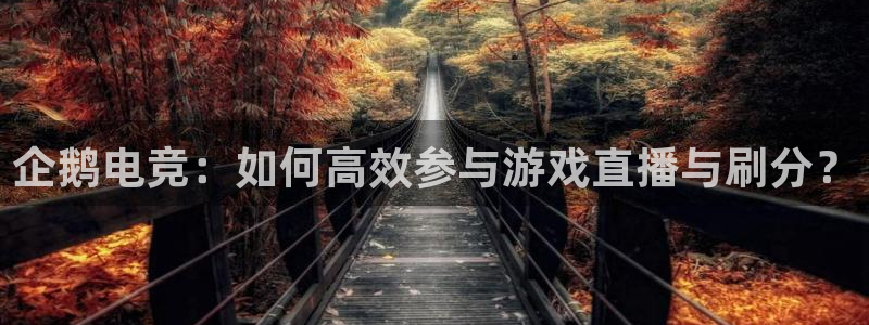 乐鱼电竞官网：企鹅电竞：如何高效参与游戏直播与刷分？