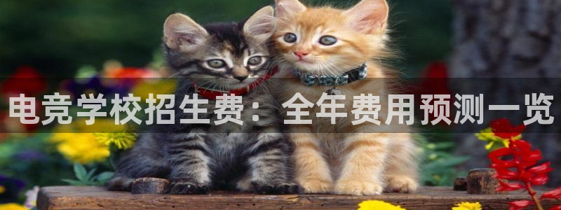 乐鱼电竞app下载：电竞学校招生费：全年费用预测一览