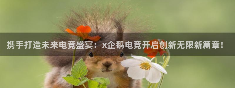 乐鱼电竞官网：携手打造未来电竞盛宴：x企鹅电竞开启创新无限新篇章！