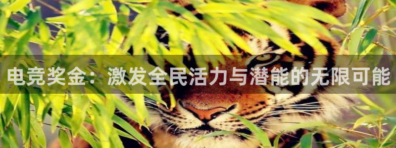 乐鱼电竞app：电竞奖金：激发全民活力与潜能的无限可能
