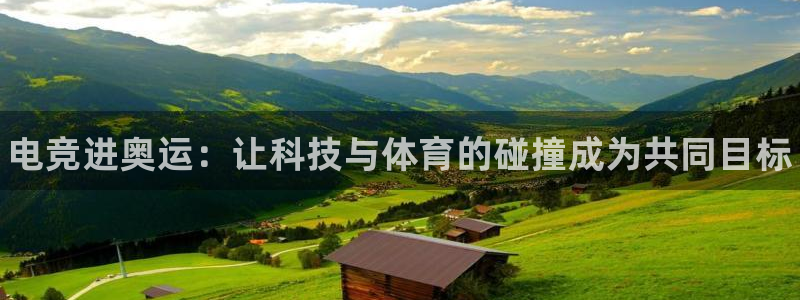 乐鱼电竞平台：电竞进奥运：让科技与体育的碰撞成为共同目标